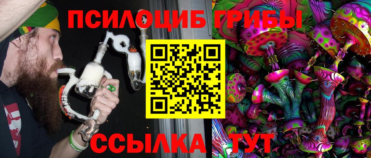 Хасавюрт  что такое   Вход с VPN  Псилоцибиновые грибы Cubensis 