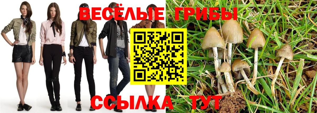 Псилоцибиновые грибы GOLDEN TEACHER Хасавюрт